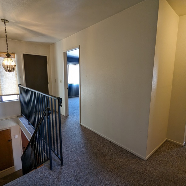 497 E Newlove G hall1