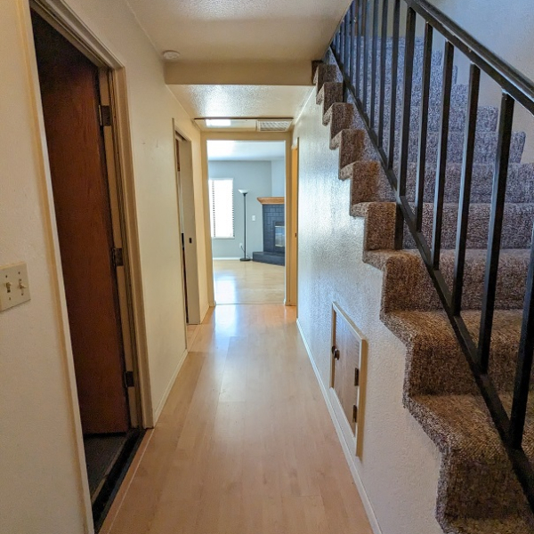 497 E Newlove G hall2