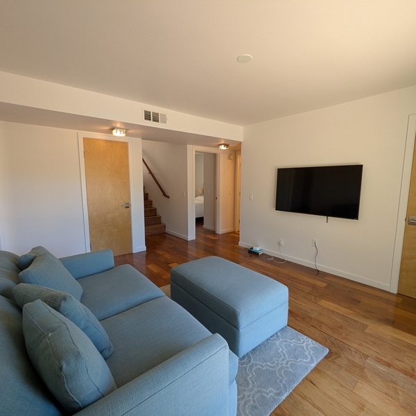 6438 Fiddleneck den1