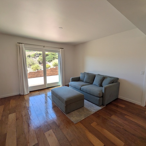 6438 Fiddleneck den2