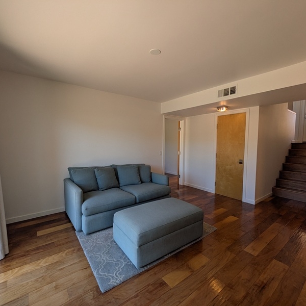 6438 Fiddleneck den3