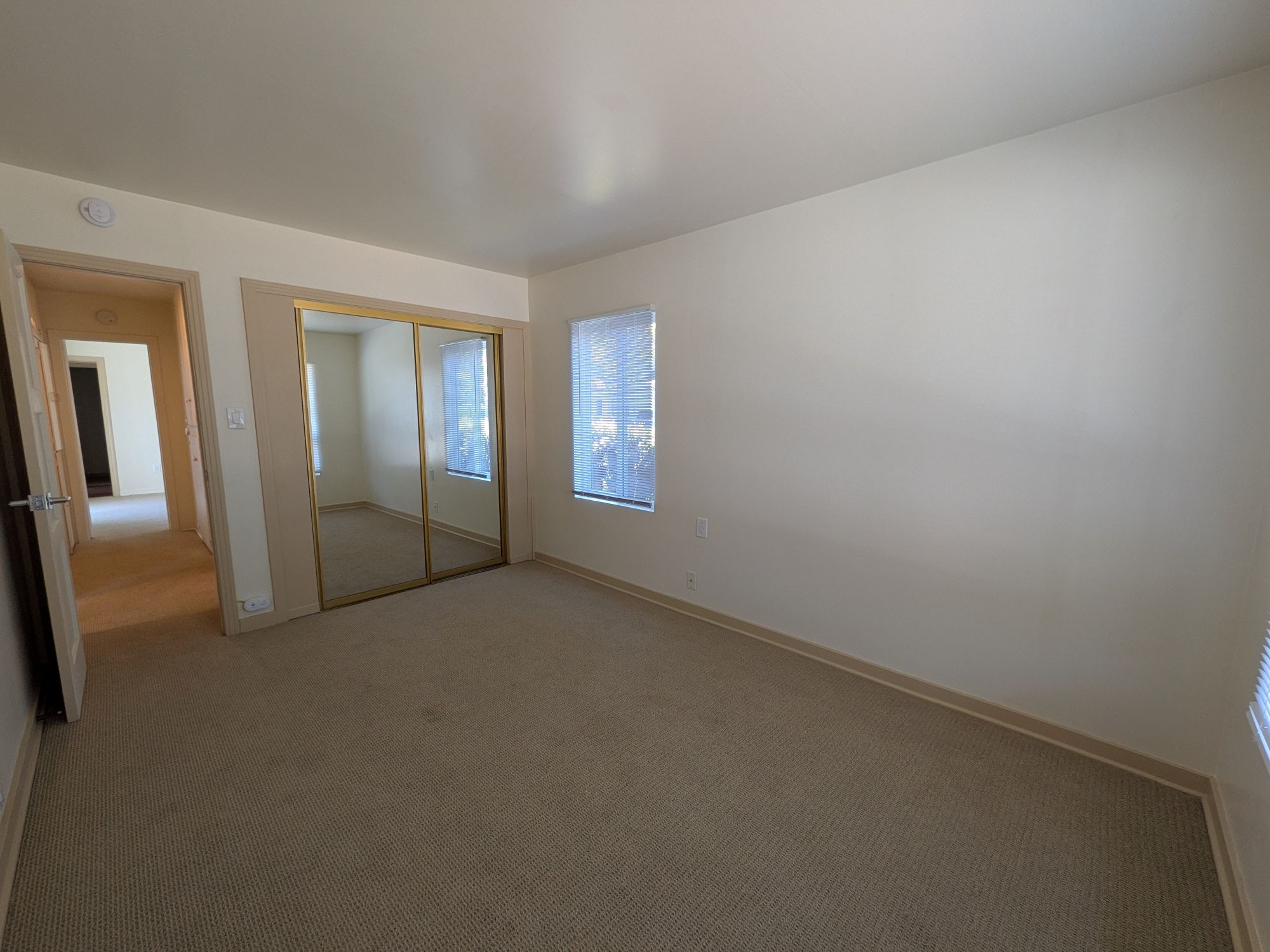 316 S. Halcyon bd5