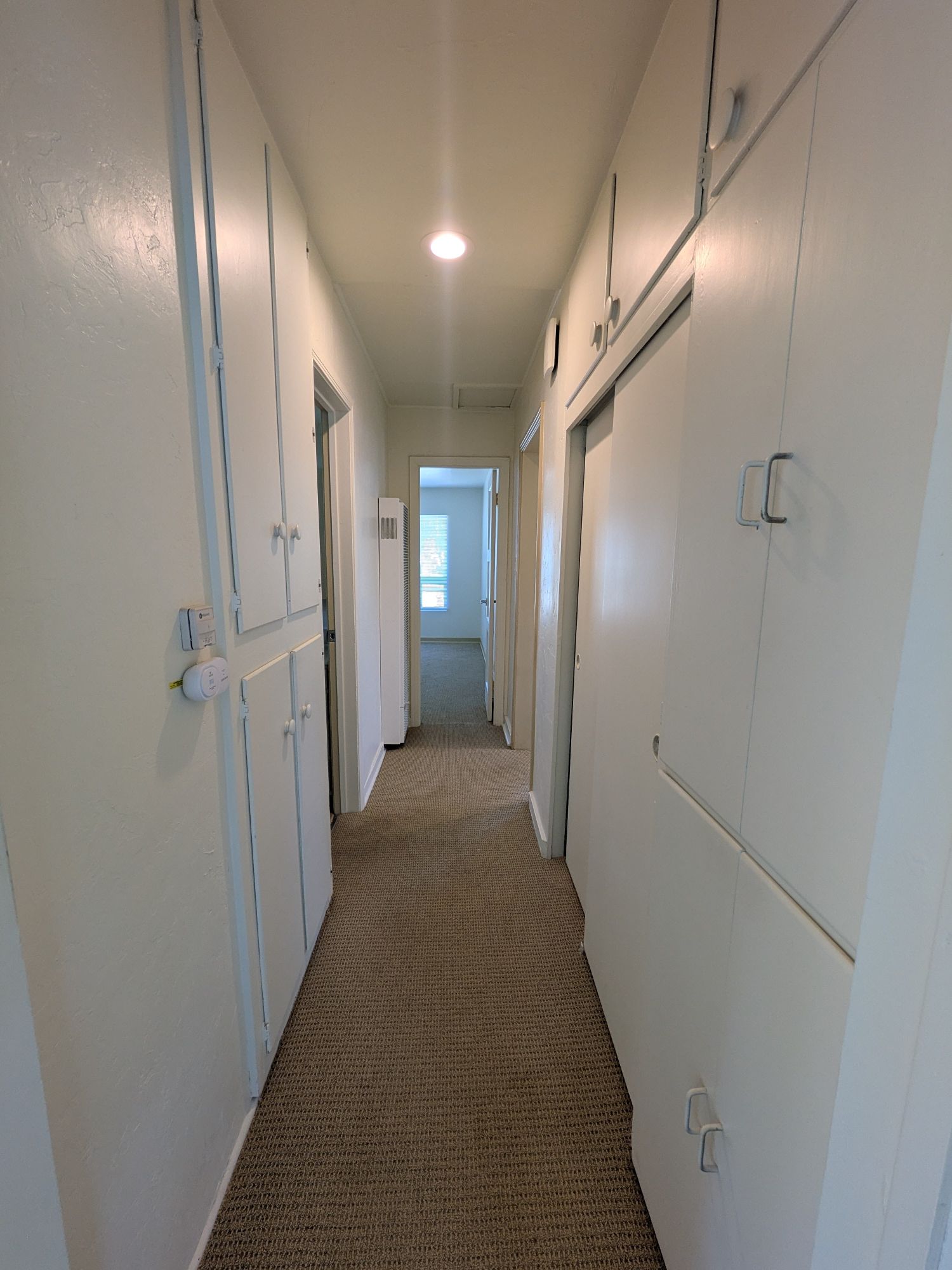316 S. Halcyon hall