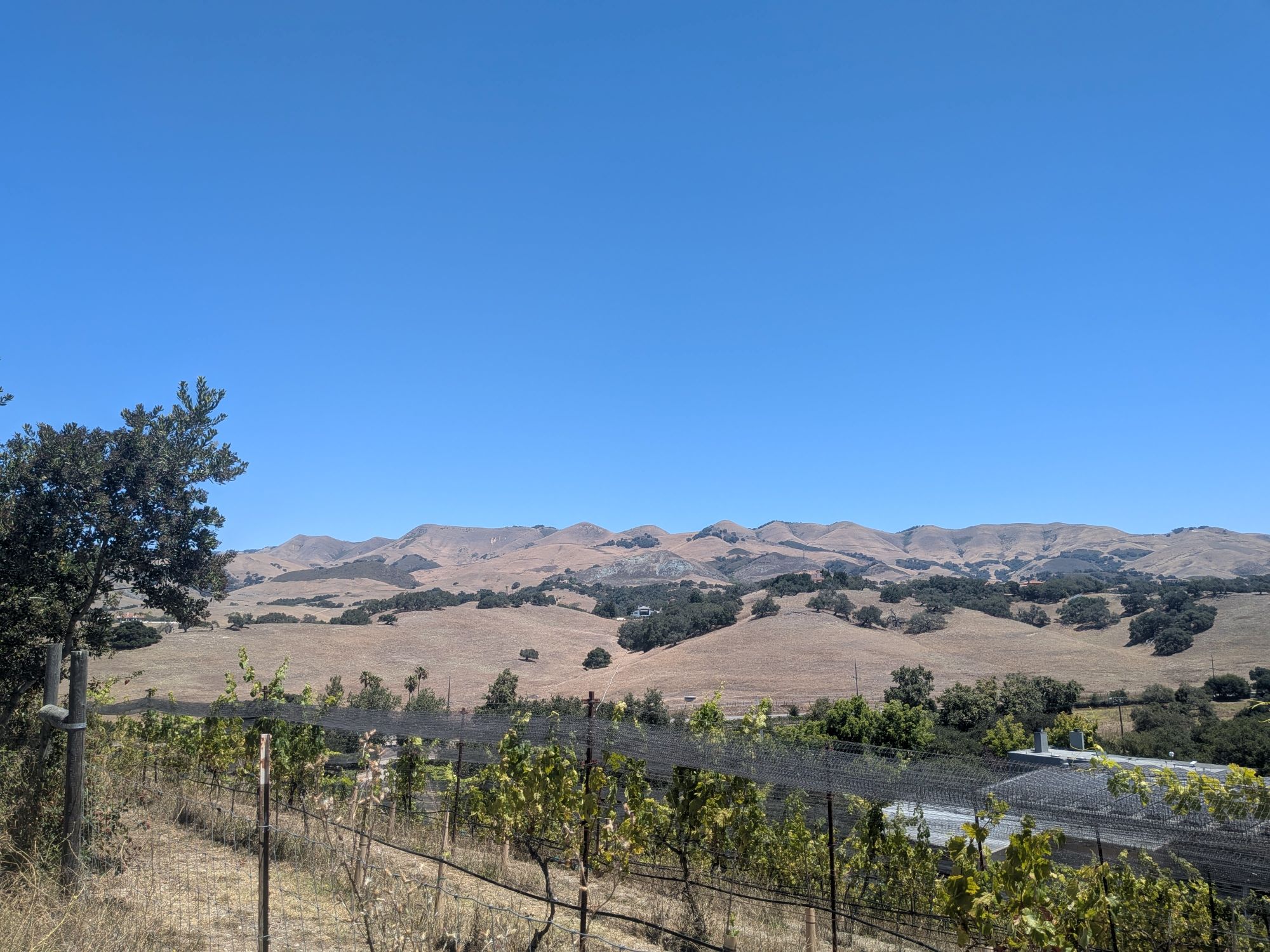 8565 Orcutt view1