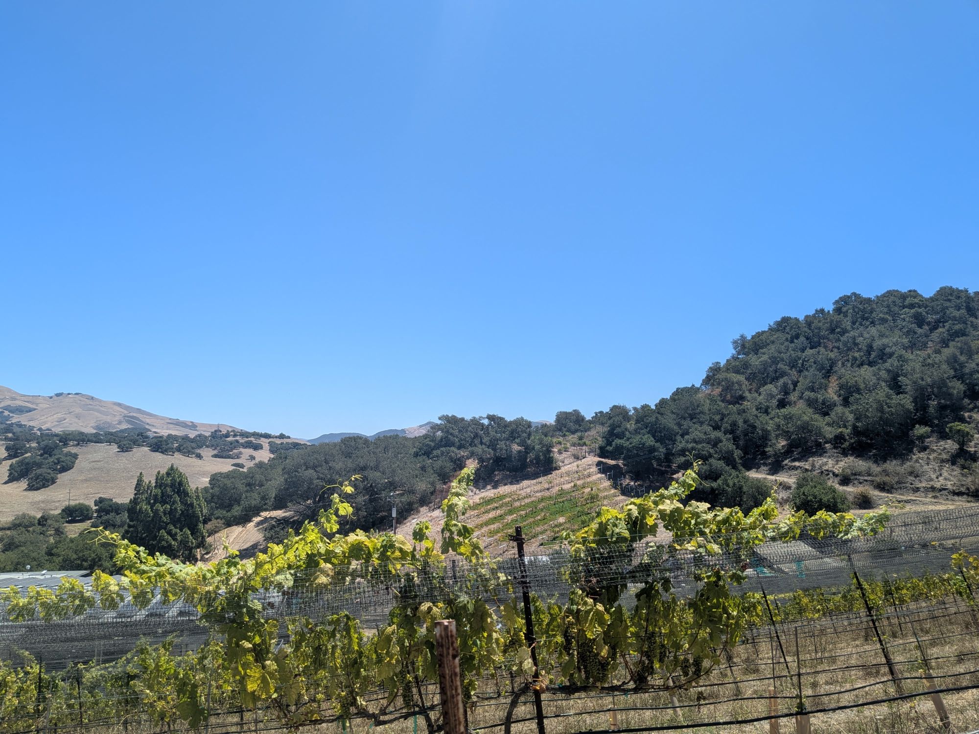 8565 Orcutt view2