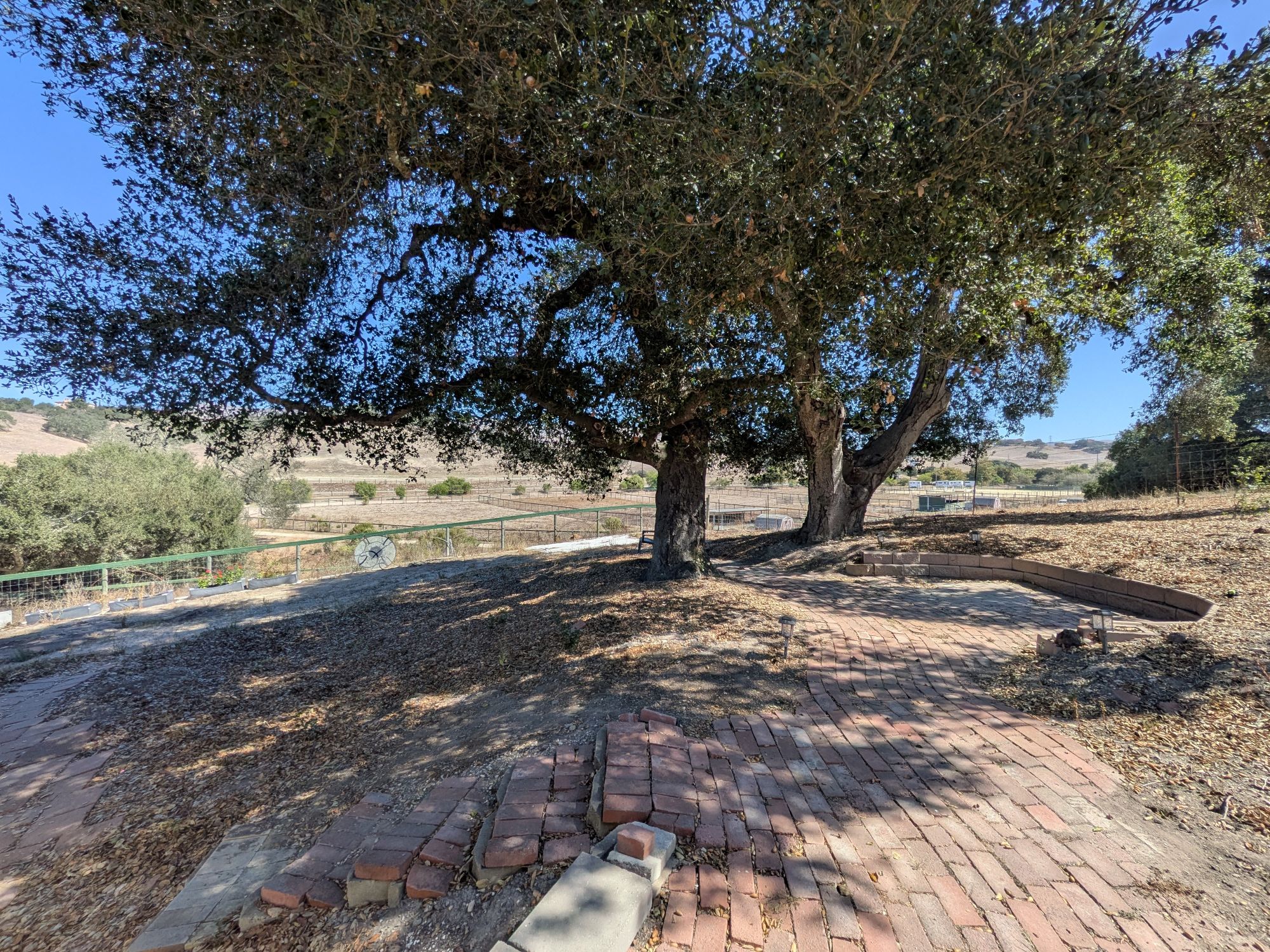 8585 Orcutt Rd yd1